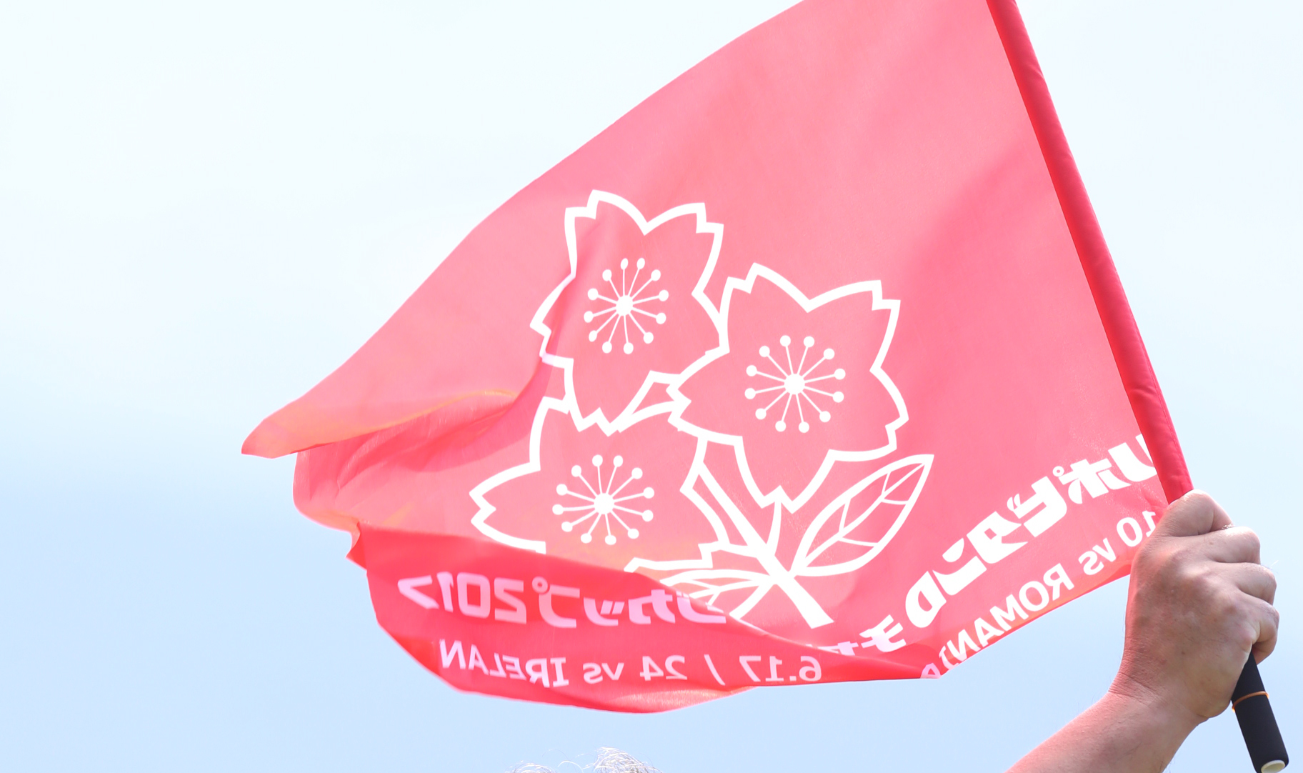 2019年度（受入型）実施要項