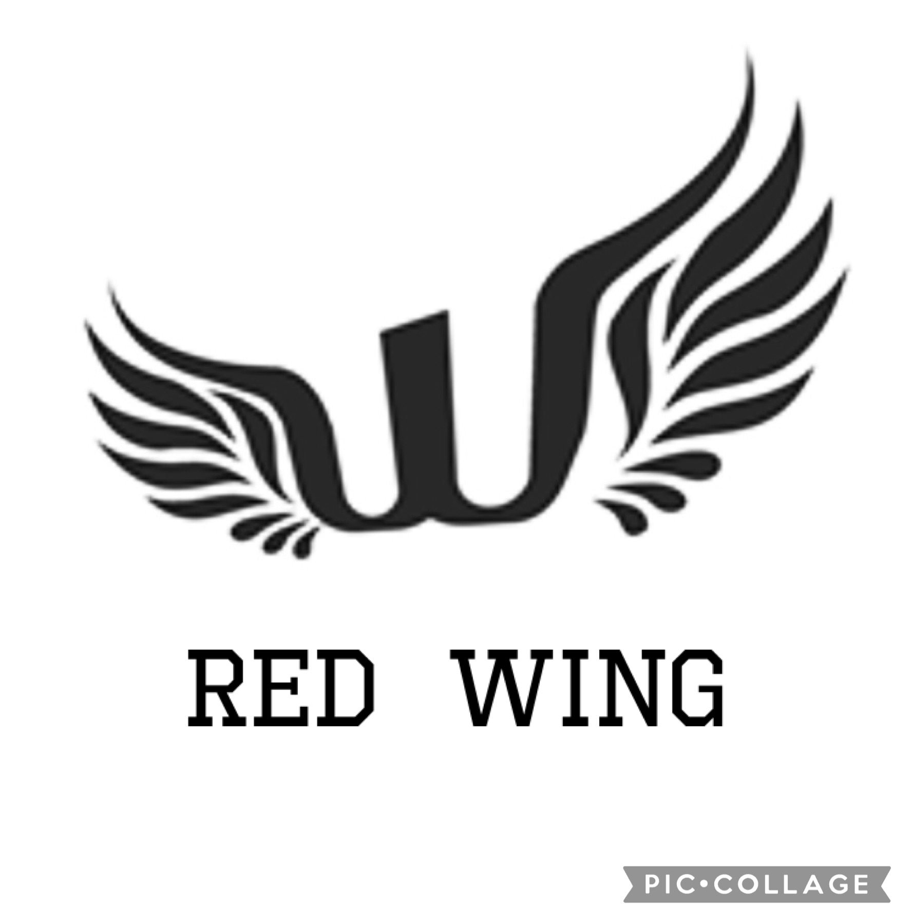 ＲＥＤ　ＷＩＮＧ